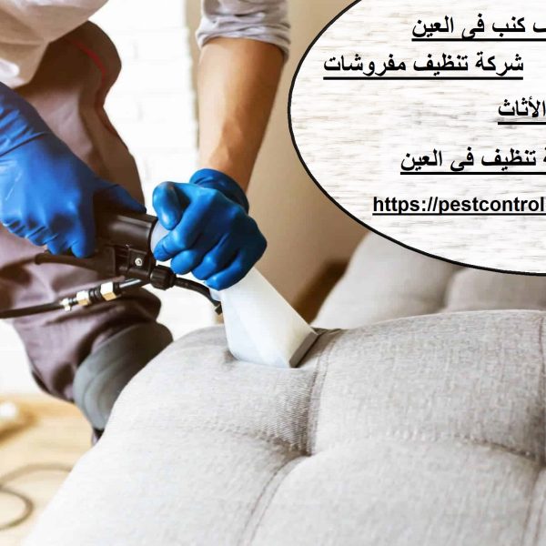شركة تنظيف كنب فى العين