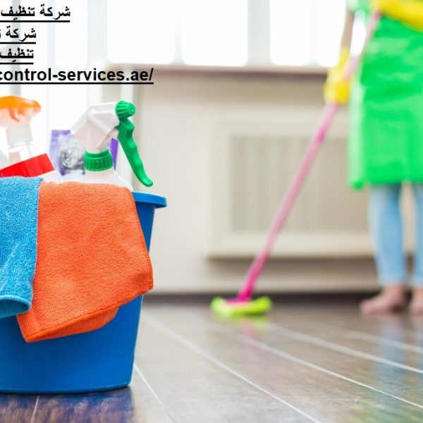 شركة تنظيف منازل في ابوظبي