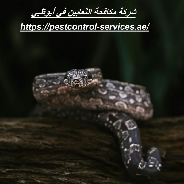 شركة مكافحة الثعابين في أبوظبي