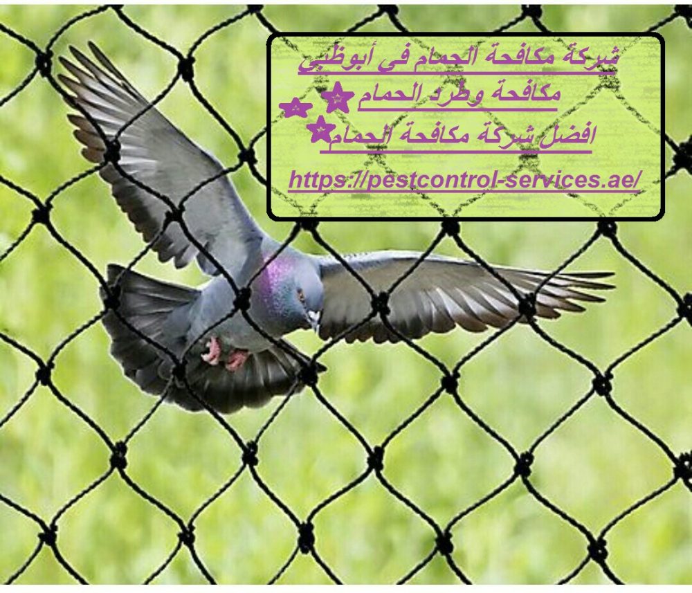 شركة مكافحة الحمام في أبوظبي