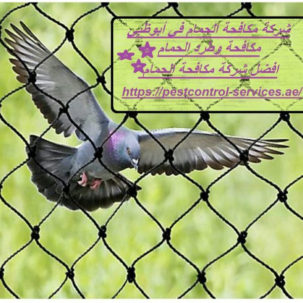 شركة مكافحة الحمام في أبوظبي