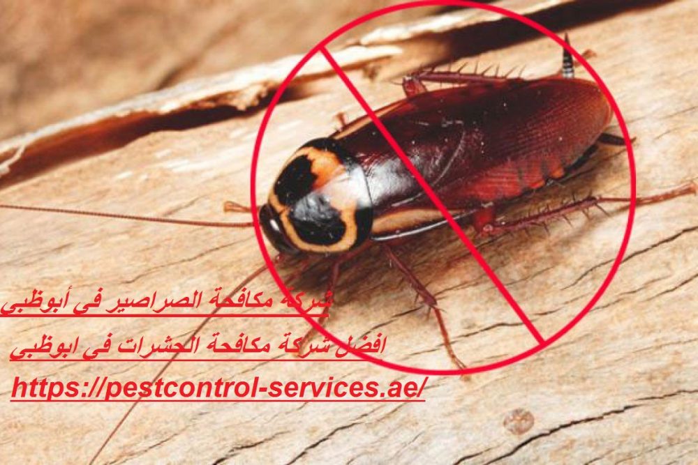 شركة مكافحة الصراصير في أبوظبي