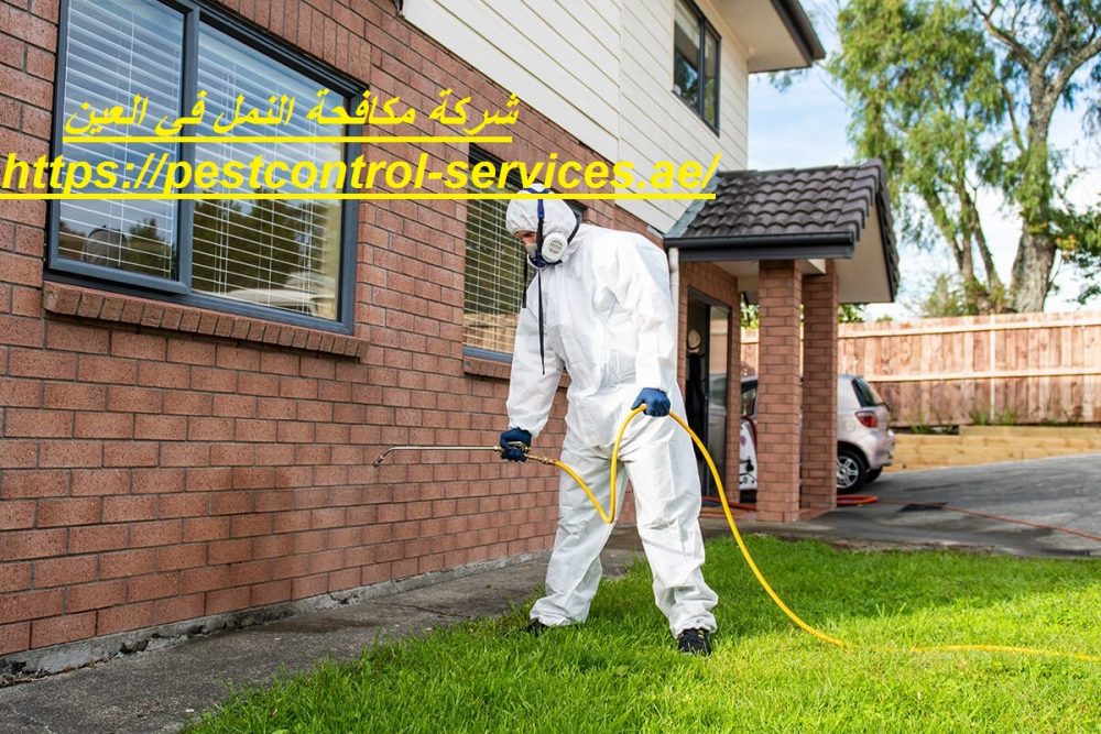شركة مكافحة النمل في العين