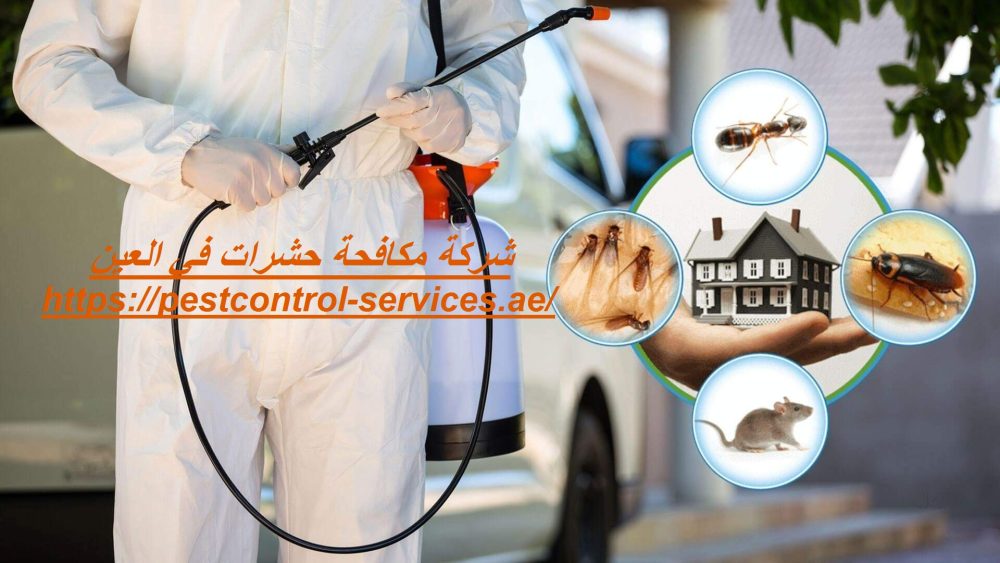 شركة مكافحة حشرات في العين